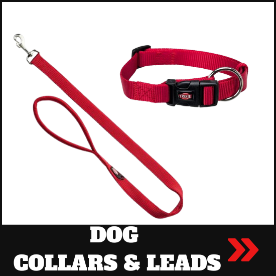 dog collars and leads