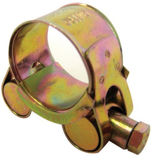 A metallic hose clamp with a gold-toned finish and a hex nut on the closure, isolated on a white background.