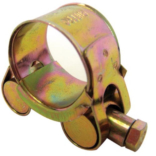 A metallic hose clamp with a gold-toned finish and a hex nut on the closure, isolated on a white background.